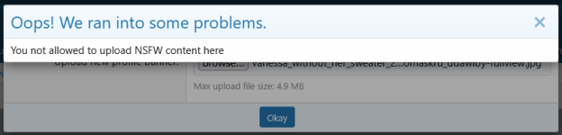 pub_banner_error.png