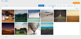 album_view_grid.png